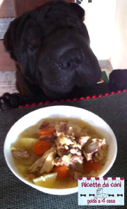 zuppa pollo per cani