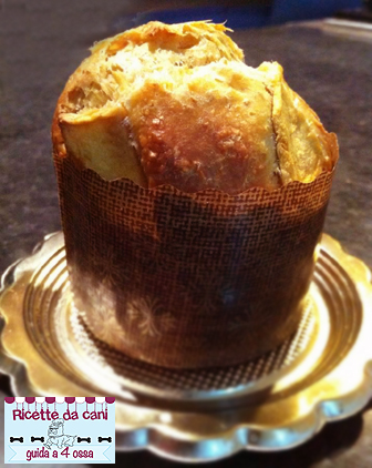 panettone per cani