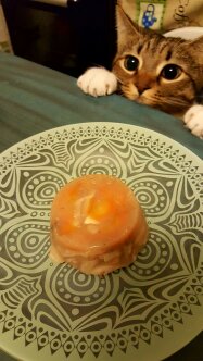 Scatoletta al salmone per cani e gatti fatta in casa