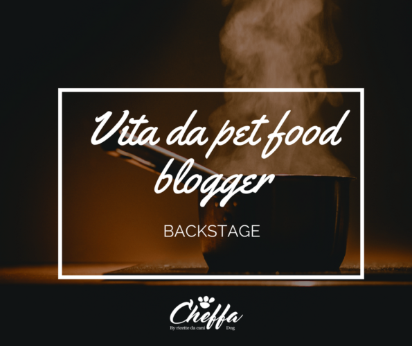 vita da pet food blogger