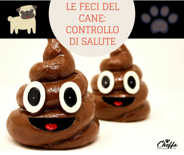 le feci del cane: controllo di salute