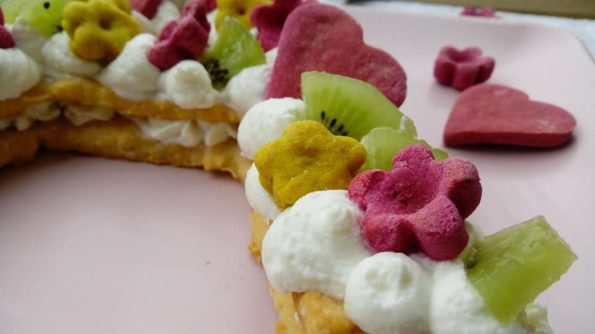 cream tart ricetta torta per cani