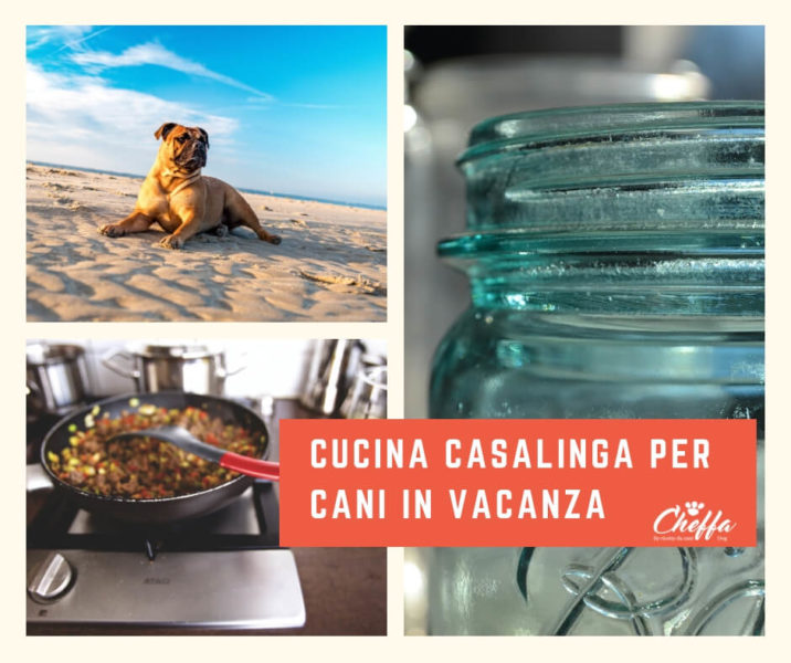 cucina casalinga per cani in vacanza