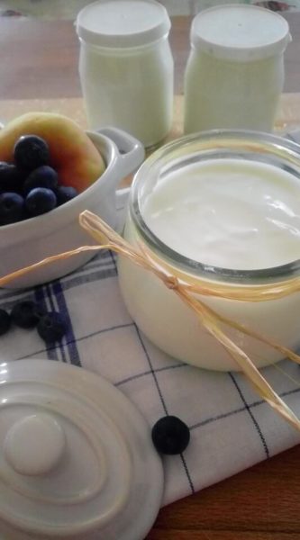 yogurt fatto in casa con la yogurtiera