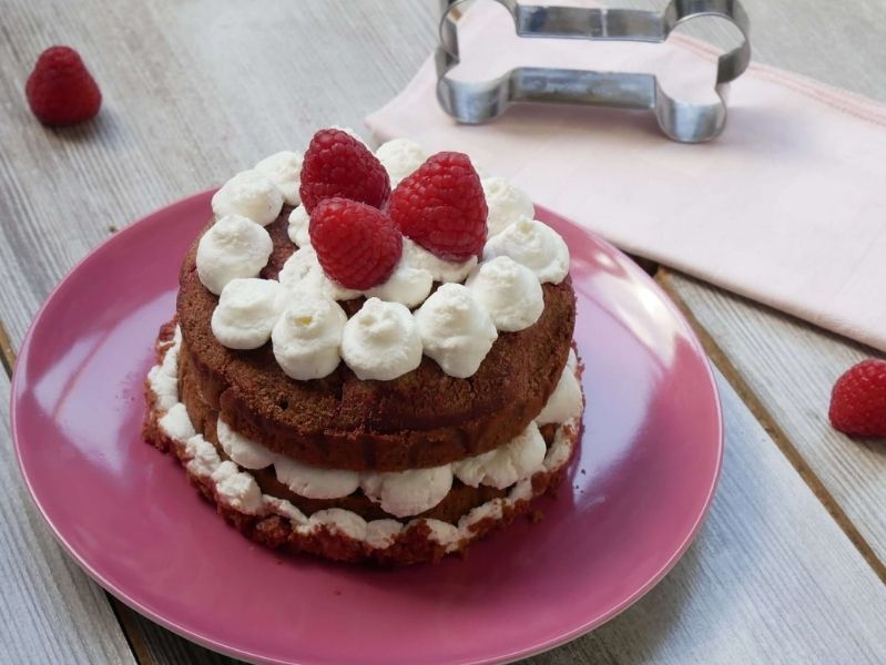 TORTA RED VELVET PER CANI - RICETTE DA CANI