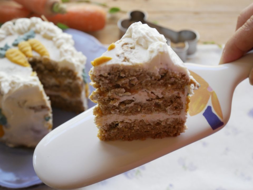 carrot cake o torta di carote per cani