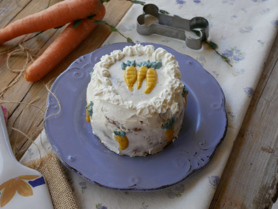 carrot cake o tarta di carote per cani