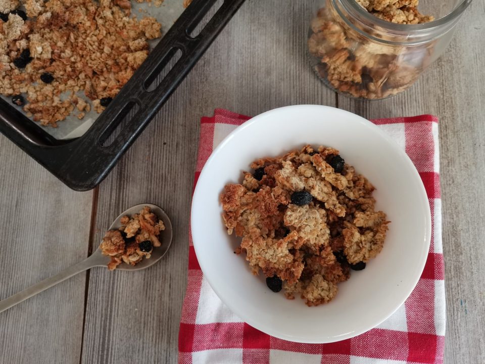 granola fatta in casa anche per cani